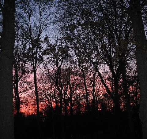 149676_16779259 cshlex sunset thr